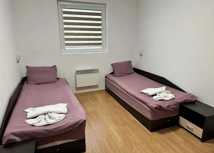 Apartman White Wood Banszko